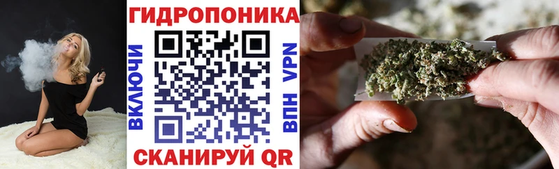 Бошки марихуана конопля  Верхняя Пышма 